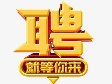 2019年蘭貝石招聘計劃